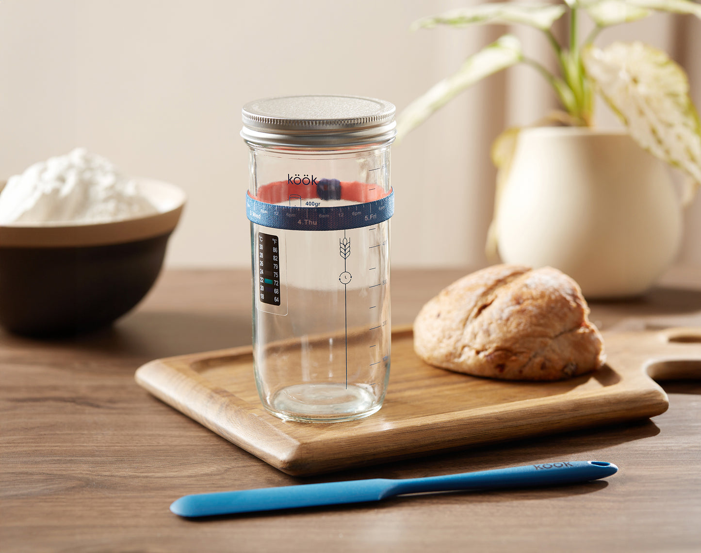 SOURDOUGH STARTER KIT, 24 OZ